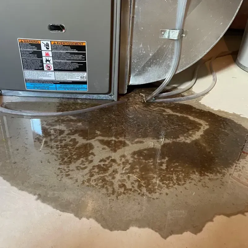 Appliance Leak Cleanup in Selma, AL